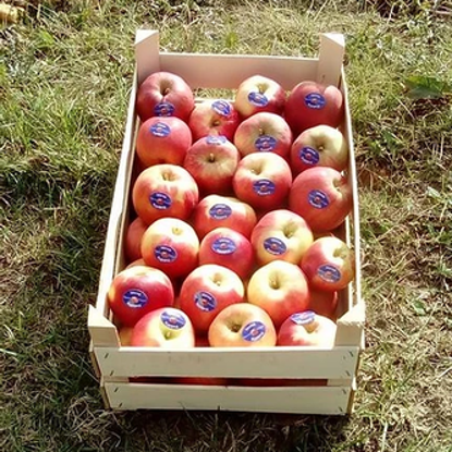 Fotografia e Idared.