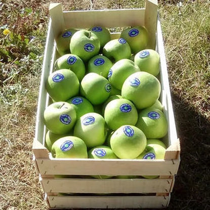 Fotografia e Granny Smith.