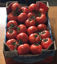 Image de Tomatoes