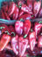 Slika Peppers