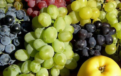 显示明细 Grapes 图片 Grapes