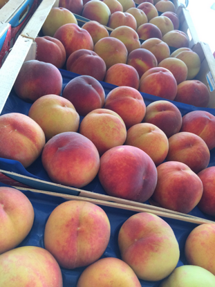Pokaż szczegóły dla Peaches Obrazek Peaches