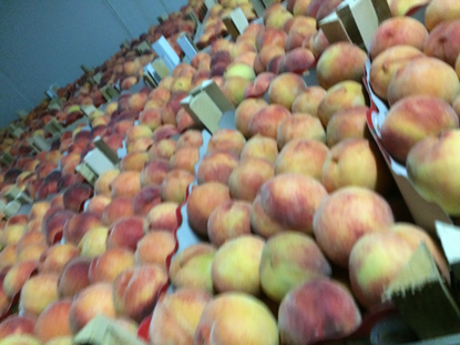 显示明细 Peaches 图片 Peaches