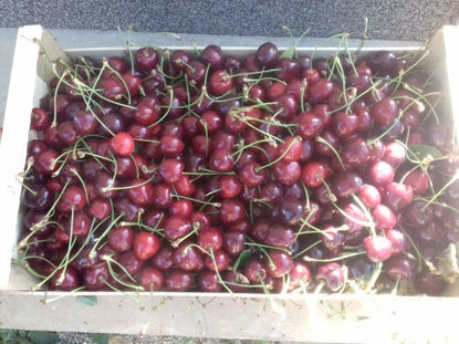 显示明细 Cherries 图片 Cherries