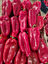 Εικόνα της Red Peppers