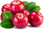 Image de Organic Redberry