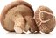 Изображение Organic Mushrooms