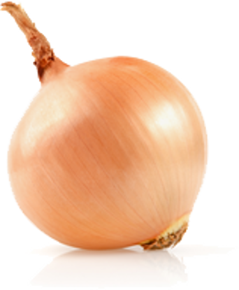 Fotografia e Organic Onion.
