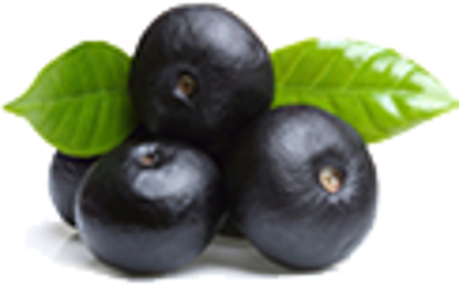 Fotografia e Organic Blackberry.